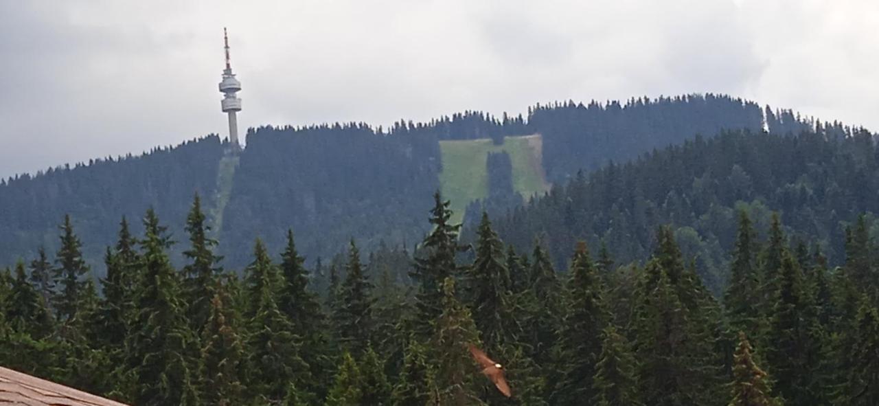 Спа,Ски Апартамент Дайли, Стрийм Ризорт Пампорово Extérieur photo